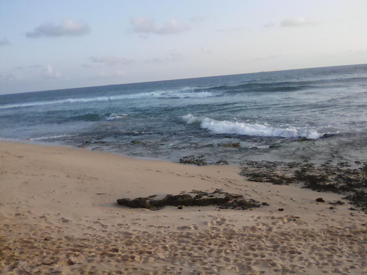 Shantha Surf Villa Weligama Dış mekan fotoğraf