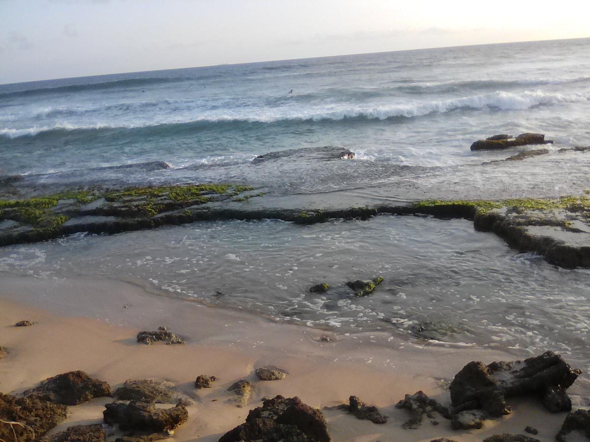 Shantha Surf Villa Weligama Dış mekan fotoğraf